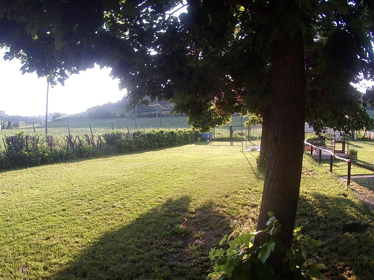Gavi/Alice Open Space Bed & Breakfast Bagian luar foto