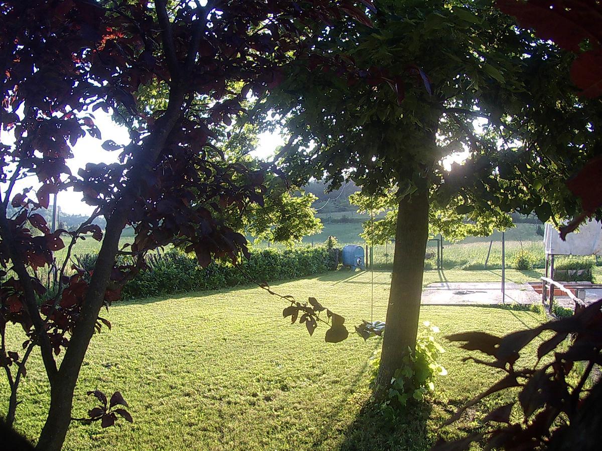 Gavi/Alice Open Space Bed & Breakfast Bagian luar foto
