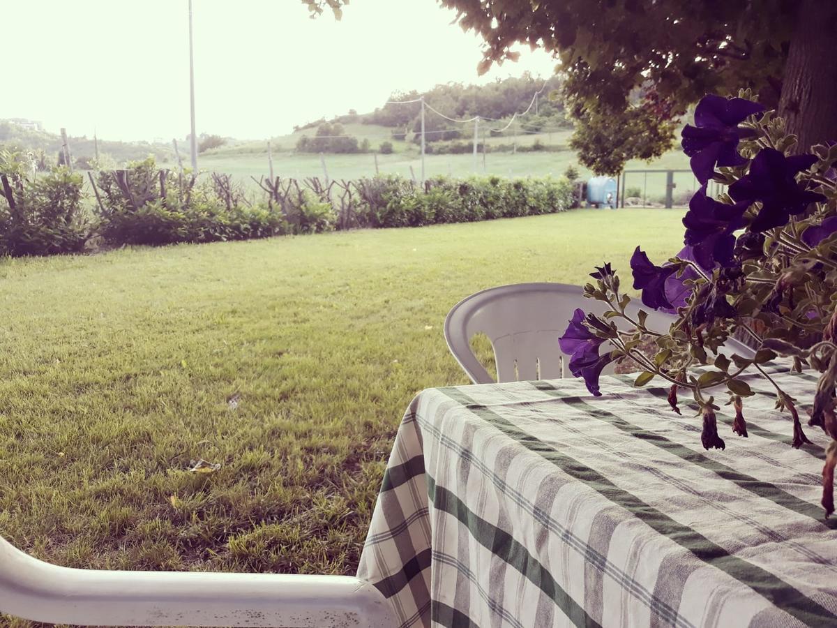 Gavi/Alice Open Space Bed & Breakfast Bagian luar foto